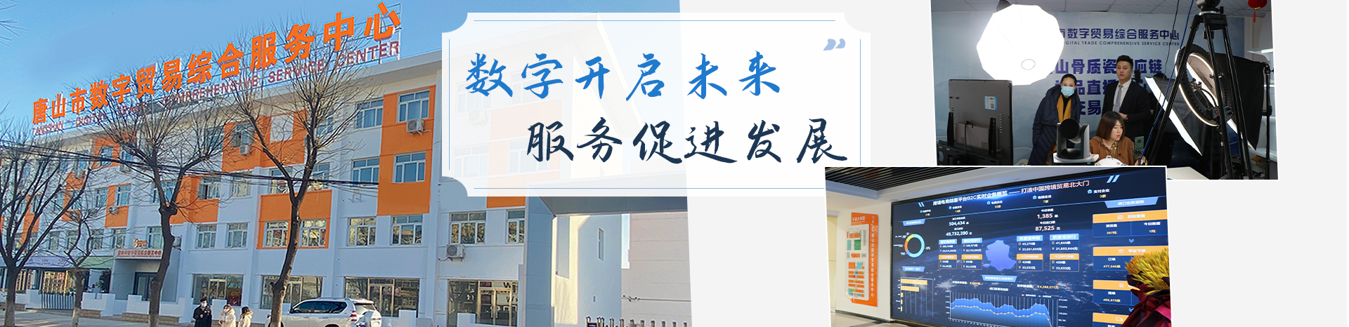 唐山市数字贸易综合服务有限公司