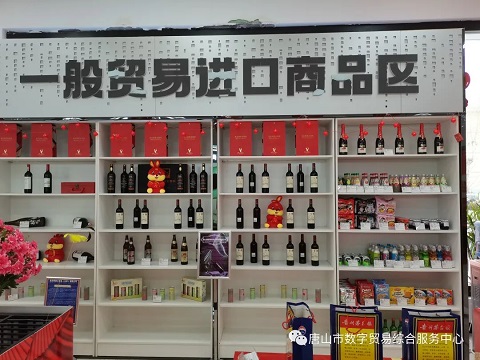 “数贸年货节 乐购东北亚”唐山市第一届数贸直播年货节在煤医道14号院内展厅正式启动！