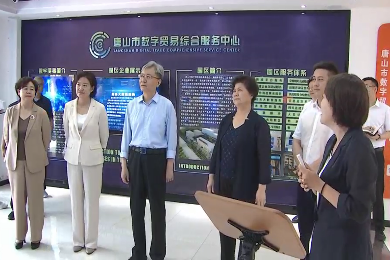 市领导到唐山市数字贸易综合服务中心调研