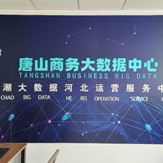 泰和数潮（唐山）科技有限公司