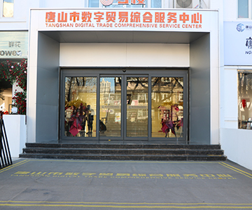 唐山市数字贸易综合服务有限公司