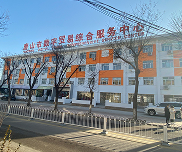 唐山市数字贸易综合服务有限公司