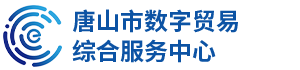 唐山市数字贸易综合服务有限公司